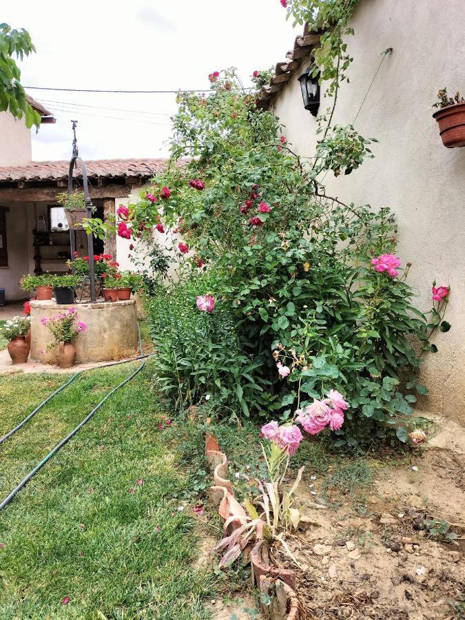 Albergue Don Camino Villalcázar de Sirga 외부 사진